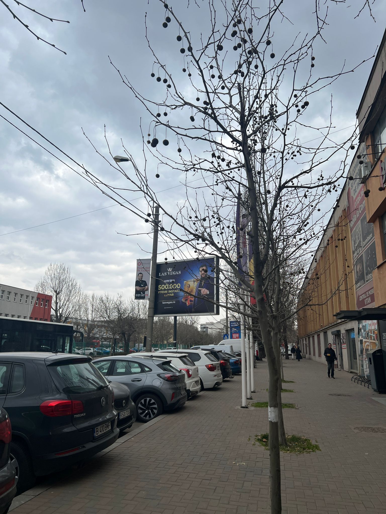 WhatsApp Image 2026-03-23 at 10.35.05 (2).jpeg