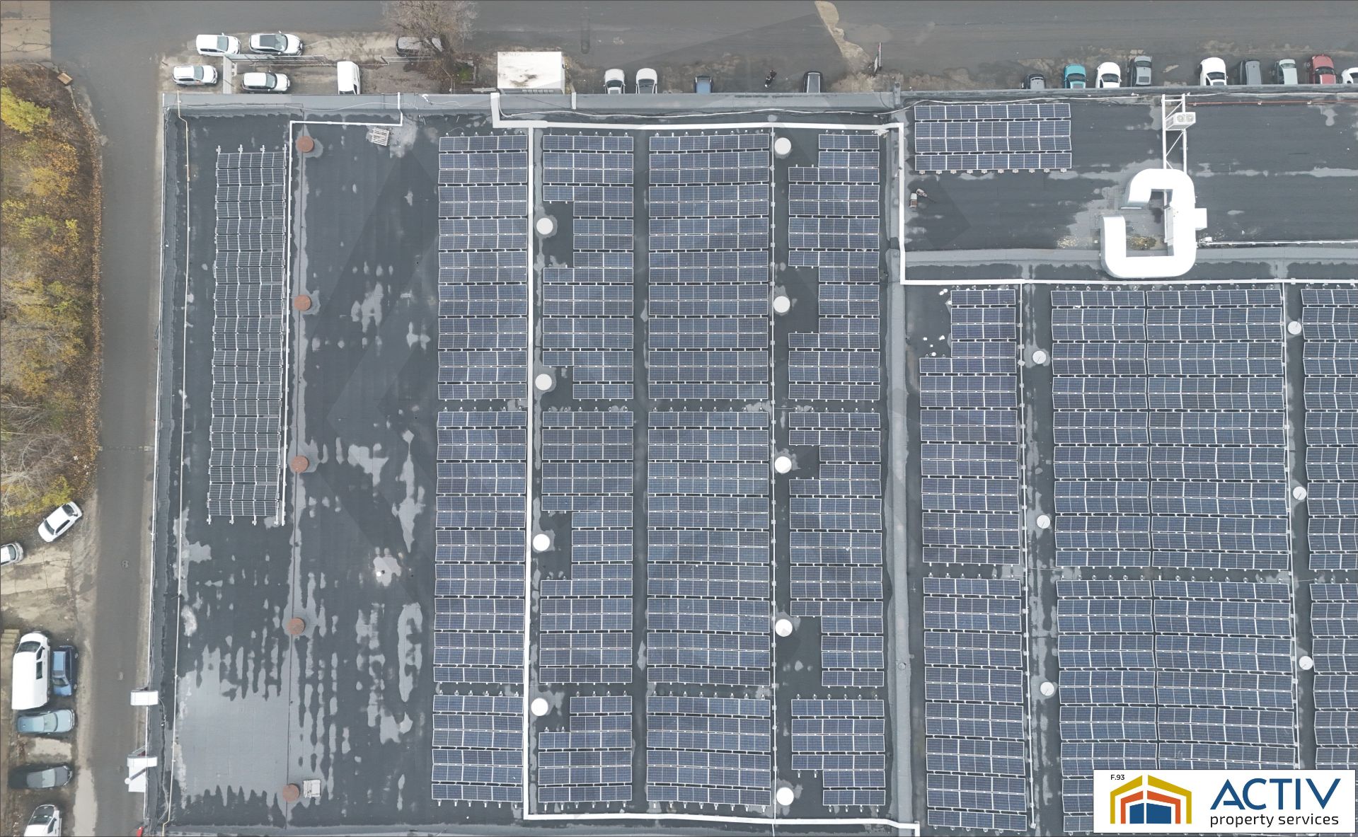 Hala de vanzare Faur.JPG